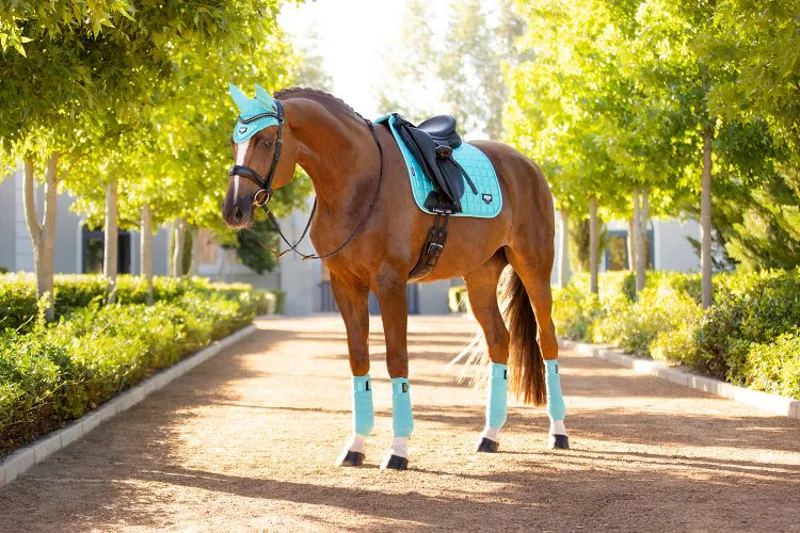 LeMieux Loire Classic Satin Dressage Square - Azure-2